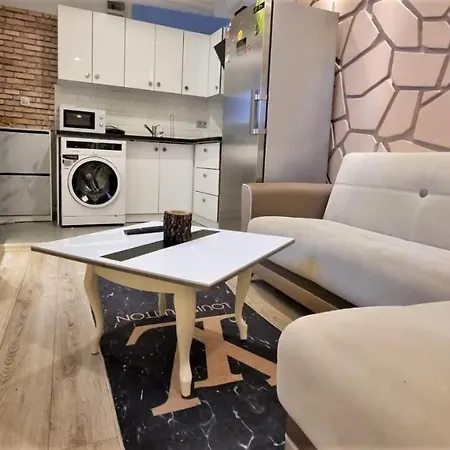 Nisantasi Luxury Design 1+1/1 Apartment Istanbul
